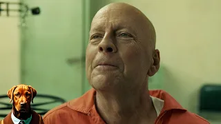 'Moonlighting' creator shares update on Bruce Willis' dementia: 'He's still Bruce'
