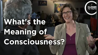 Julia Mossbridge - What's the Meaning of Consciousness?