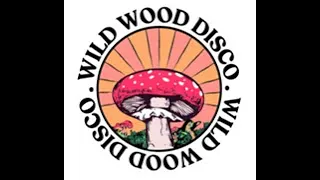 SOPHIE LLOYD -  Exclusive Mix for WILD WOOD DISCO FESTIVAL