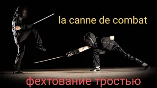 Фехтование тростью. #savate #fencing #cannedecombat #палочныйбой #фехтованиетростью #фехтование