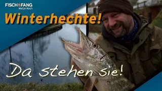 Matze Koch: Hechte im Winter suchen und finden!