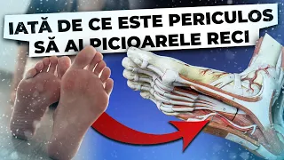 Iată de ce Picioarele RECI îți distrug Sănătatea! Asta trebuie să știe TOȚI