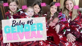 ⁠The Most Anticipated Gender Reveal of the Year!