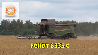 Harvest 2019 | Fendt 6335 C combine