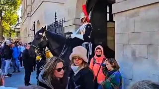 IDIOT tourist walks THROUGH the box, past the Horse and Guard!