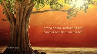 HEALING MANTRA ❯ Prana Apana Sushumna Hari Meditation