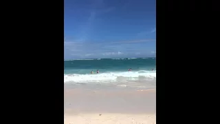 Пляж в Доминикане в отеле Occidental Grand Punta Cana