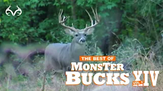 2006 Deer Hunts | Best of Monster Bucks 14 Volume 1 | Classic Whitetail Deer Hunts