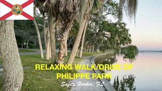 Relaxing Drive/Walk | Philippe Park in Winter | Safety Harbor | FL