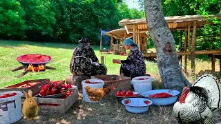 Natural Country Tomato Paste for the Winter and Fried Green Beans.