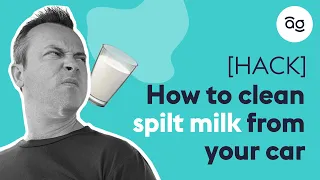 How to clean spilt milk in your car | AutoGuru.com.au