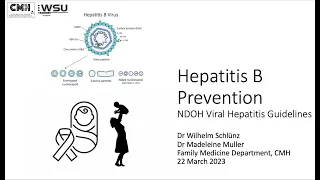 Funda Friday: Hepatitis B Prevention: NDOH Viral Hepatitis Guideline. Dr Schlunz