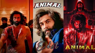 ANIMAL EDIT| RANVIJAY X ANIMAL EDIT| 4k STATUS| HAR FUN MAULA X MONEY IN THE GRAVE| MAFIA CREATOR|