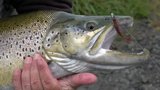 Soft baiting for monster trout South Island New Zealand 4K