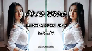 Dj Nyanda Barasa (Andre Xola) - Reggaeton Jam Remix - Tiktok Trend - Dj Ijohn