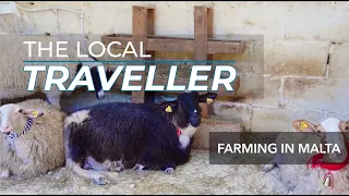 Local Farming in Malta | EP: 23, part 2 | The Local Traveller with Clare Agius | Malta