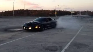 2001 Trans am ws6  playing around.