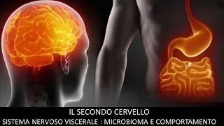 Il secondo cervello. Sistema nervoso viscerale: microbioma e comportamento