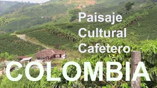 Viaje por los cafetales de Colombia- QUINDÍO- RISARALDA - CALDAS