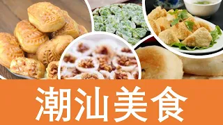 Teochew Food อาหารแต้จิ๋ว 30种潮汕美食任您选