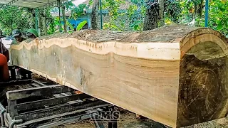 Sungu Teak Wood MONSTER‼️Di Rajang Bandsaw-Residential Beam Material