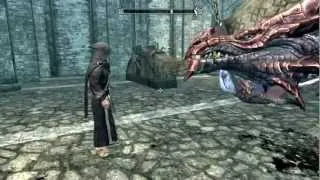 Skyrim Drache "Jo Mei!"