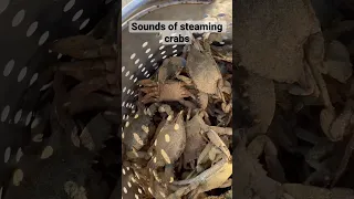 How to Stream Blue Crabs #asmr #seafood #crabbing #soundon