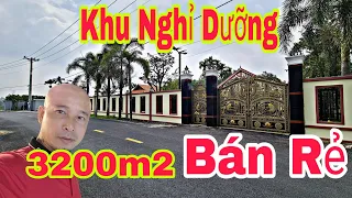 🛑BĐS Nhà Giàu Cũng Khóc Bán BIỆT THỰ VƯỜN 3200m2 Tâm huyết cả đời ĐẠI GIA Bán Gấp | Nhà Đất SG