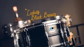 Snare Spotlight: Ludwig Black Beauty