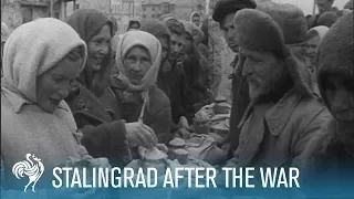 Stalingrad After World War II (1947) | British Pathé