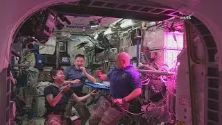 Astronauts eat lettuce grown in space