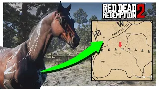 RARE Warped Brindle Arabian 100% SPAWN LOCATION | RDR2