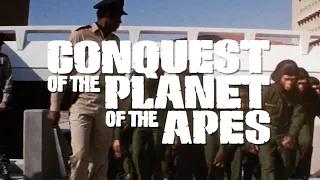 Conquest of the Planet of the Apes (1972) | MAIN TITLES