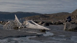 Watch a clip from the award-winning Leviathan - now in cinemas and on demand