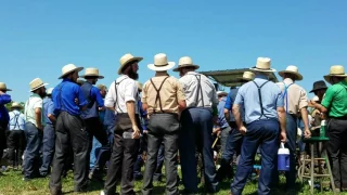 AMISH AUCTION