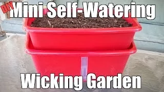 DIY Mini Self-Watering Wicking Garden