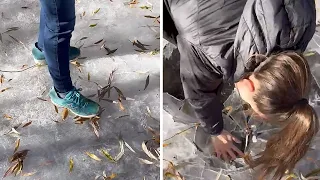 Woman breaks through ice, falls into frozen water #shorts