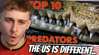 Reacting to The Top 10 Predators in The USA