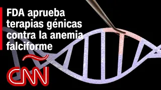 ¿De qué se tratan las terapias genéticas contra la anemia falciforme aprobados por la FDA?