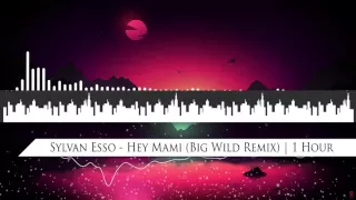 Sylvan Esso - Hey Mami (Big Wild Remix) | 1 Hour