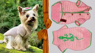 Свитер для собаки крючком с вышивкой и клепками | Crochet dog sweater with embroidery and rivets