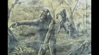 Cryptids and Monsters:  Ucumar, the Sasquatch from Chile