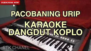 Pacobaning Urip - KARAOKE DANGDUT KOPLO