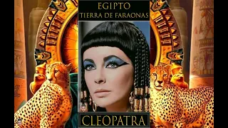 Who were the other Cleopatra The Pharaohs of Egypt❓👩‍🎓