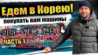 Подбираем, покупаем и отправляем вам машины из Кореи❗️АвтоЗаказ в Корее❗️тысячи машин для вас