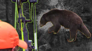 Bow Hunting BEARS UP CLOSE! Spot & Stalk Spring Black Bears