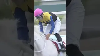 BEAUTIFUL PURE WHITE THOROUGHBRED RACEHORSE SODASHI #ソダシ 🇯🇵 | FIRST EVER WHITE G1 WINNER 🥇