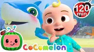 JJ and his Baby Shark Friend Sing Baby Shark! | Fun with JJ! | CoComelon Nursery Rhymes & Kids Songs