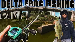 California Delta Frog Fishing | All Day Frog Fishing | I Cant Believe These Are In The Delta