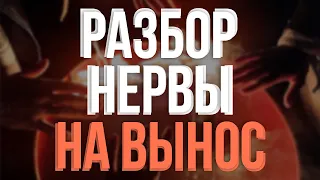 РАЗБОР НЕРВЫ - НА ВЫНОС